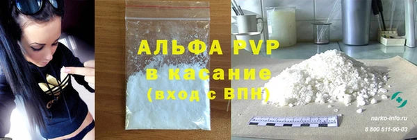 ECSTASY Магас