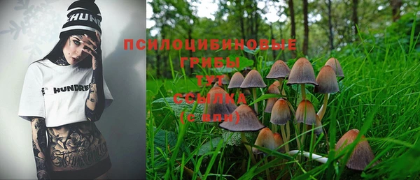 ECSTASY Магас